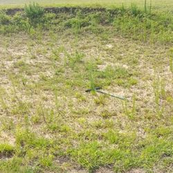 Sanctuary Ridge Golf Club - This used to be a bunker.  At least they left the rake.