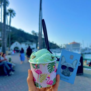 Sailor’s Delight Ice Cream Shop - Pistachio nut - Ice Cream & Frozen Yogurt Near Me - Avalon, California Sailor’s Delight Ice Cream Shop - Pistachio nut - Ice Cream & Frozen Yogurt Near Me - Avalon, California