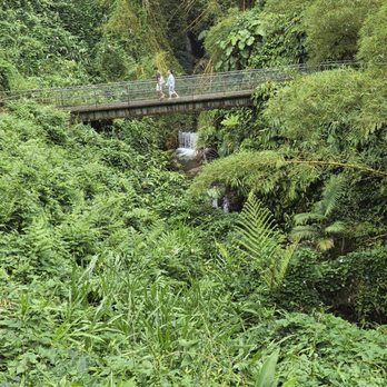 Akaka Falls State Park - Parks Near Me - Honomu, Hawaii
