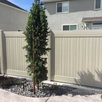 Rollins Landscaping - Another picture of the damaged tree. - Landscaping Near Me - Sandy, Utah Rollins Landscaping - Another picture of the damaged tree. - Landscaping Near Me - Sandy, Utah