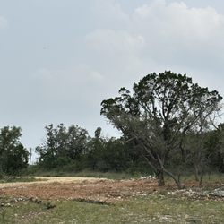 Shelton Land & Ranch Services - Cleaned up brush and saplings, and pruned the mature cedar, to showcase the natural beauty of their hill country landscape