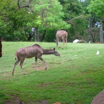 Honolulu Zoo - Zoos Near Me - Honolulu, Hawaii