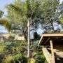 Photo of South Green Tree Care Inc.
