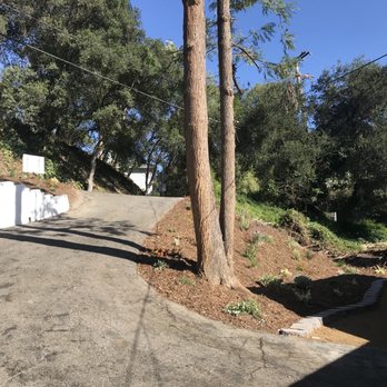 Reyes Tree Services - Tree Services Near Me - Northridge, California Reyes Tree Services - Tree Services Near Me - Northridge, California