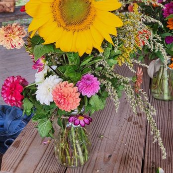 McLawland Farms - Pick Your Own Farms Near Me - Charlotte, North Carolina