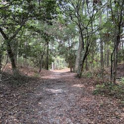 Emerald Isle Woods Park - Wooded trail