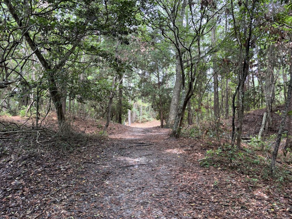 Emerald Isle Woods Park