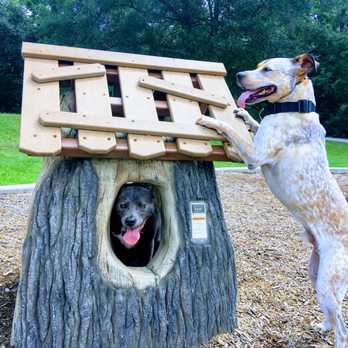 Sit Means Sit Buffalo - Pet Training Near Me Sit Means Sit Buffalo - Pet Training Near Me