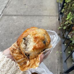 Blueberry muffin Blueberry muffin