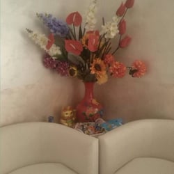 L'Oasi di Lulu