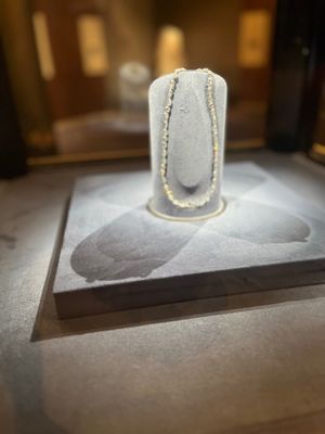 Smithsonian National Museum of Natural History by null