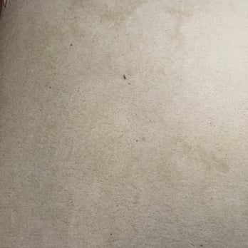 Rent Me Today - Didn't vacuum my room - Home Cleaning Near Me
