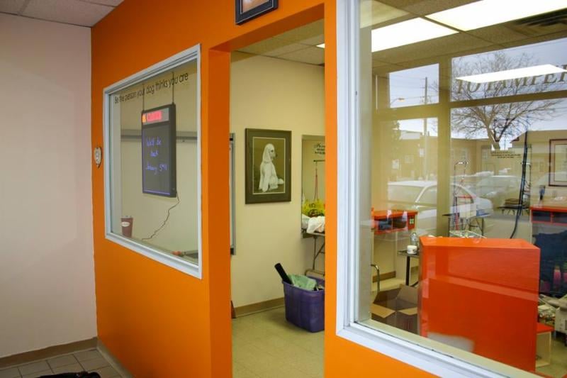 KIT ‘N’ KAPOODLE Updated October 2024 3A45 Bloor Street E, Oshawa