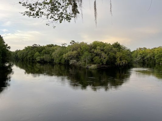 Suwannee River State Park by null