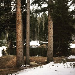 High Peak Camp - The view outside my lodge room!