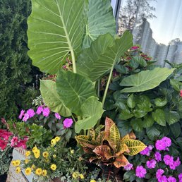 Outside plant Outside plant