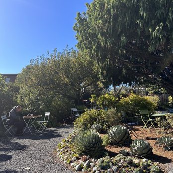 Brickery Pizza - Garden seating - Pizza Near Me - Mendocino, California Brickery Pizza - Garden seating - Pizza Near Me - Mendocino, California