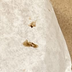 McDonald's - Burger wrappers covered in what they say is grease.  Hamburger