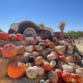 Larry's Produce - Fruits & Veggies Near Me - Fairfield, California Larry's Produce - Fruits & Veggies Near Me - Fairfield, California