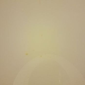 La Quinta by Wyndham Schertz - Toilet close up - Hotels Near Me - Schertz, Texas La Quinta by Wyndham Schertz - Toilet close up - Hotels Near Me - Schertz, Texas