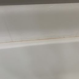 Mildew and mold Mildew and mold