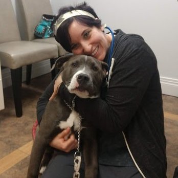 Pet Medical Services - Our staff loves your animals as much as you do! - Veterinarians Near Me - Orem, Utah Pet Medical Services - Our staff loves your animals as much as you do! - Veterinarians Near Me - Orem, Utah