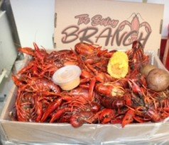 The Boiling Branch by Four Oaks Farm Logo