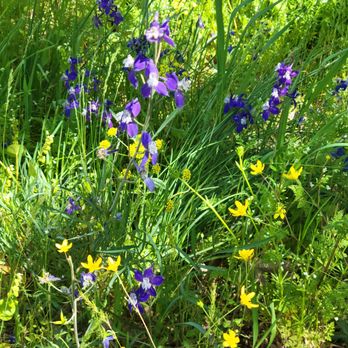 Ruthton County Park - Larkspur - Parks Near Me - Hood River, Oregon