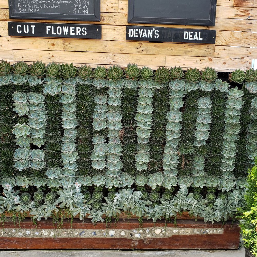 Devan Greenhouses - Nurseries & Gardening Near Me - Abbotsford, British Columbia