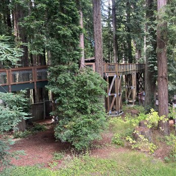 The Redwood Sky Walk - Parks Near Me - Eureka, California The Redwood Sky Walk - Parks Near Me - Eureka, California