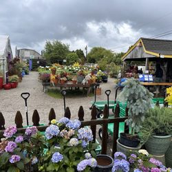 Peckham's Greenhouse