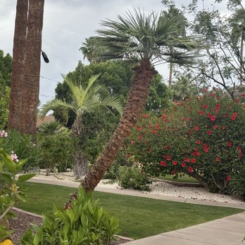 T Cook's - The grounds at The Palm - New American Near Me - Phoenix, Arizona