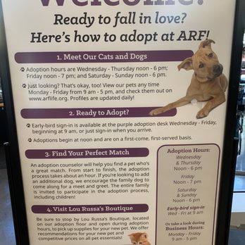 Joybound - Process to adopt - Animal Shelters Near Me - Walnut Creek, California