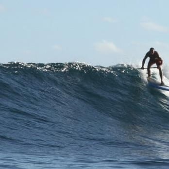 Wassupmaui - Paddleboarding Near Me