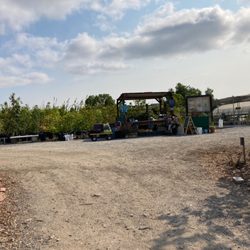 Our City Forest Nursery and Training Center - Zoom in. 5 volunteers chillin.