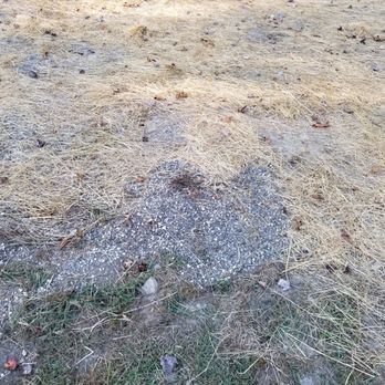 G P Call and Sons - Pea gravel that was left in new lawn area and covered with hay. - Excavation Services Near Me G P Call and Sons - Pea gravel that was left in new lawn area and covered with hay. - Excavation Services Near Me