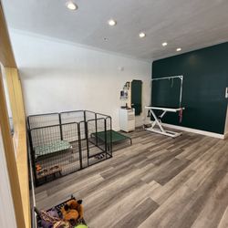 A Cut Above Grooming Salon