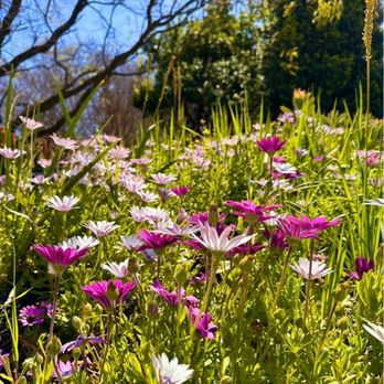 Markham Nature Park & Arboretum - Parks Near Me - Concord, California