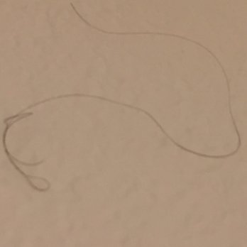 Leucadia Beach Inn - Long black hair stuck on bathroom wall. - Hotels Near Me - Encinitas, California
