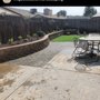 Photo of Miguel’s Custom Landscaping