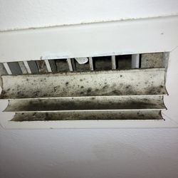 BioBusters Remediation - South Florida homeowners: call now for a consultation and breathe cleaner, safer air.