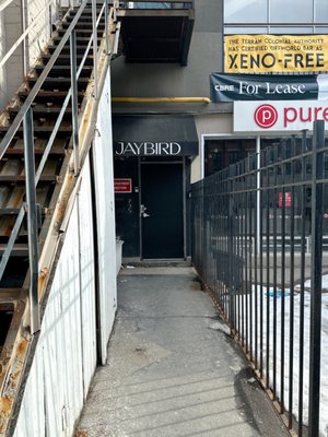 Jaybird Studio — Queen St. by null