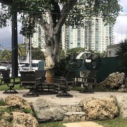 The New River Castle - Seating area, trees, and New River