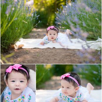 Diana Jex Photography - My sweet girl's 6 month photos with Diana - Session Photography Near Me - Petaluma, California Diana Jex Photography - My sweet girl's 6 month photos with Diana - Session Photography Near Me - Petaluma, California