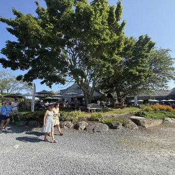 Carolyn's Sakonnet Vineyards - Wineries Near Me - Little Compton, Rhode Island