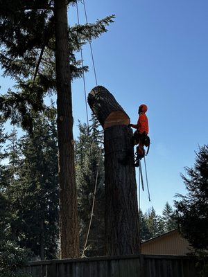 Emergency Tree Removal Services - Safe, Professional, and Affordable Tree Removal Services!
Is a hazardous tree threatening your property? Trust our experienced team to handle tree removal with precision and care. We’re licensed, insured, and equipped to tackle any size job, ensuring your safety and satisfaction.
Call us today for a free quote and fast, reliable service! Emergency Tree Removal Services - Safe, Professional, and Affordable Tree Removal Services!
Is a hazardous tree threatening your property? Trust our experienced team to handle tree removal with precision and care. We’re licensed, insured, and equipped to tackle any size job, ensuring your safety and satisfaction.
Call us today for a free quote and fast, reliable service!
