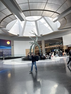 San Diego International Airport by null