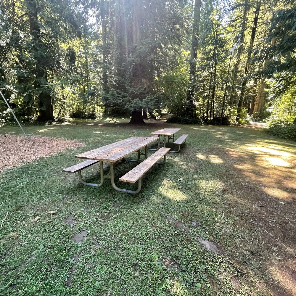 Lewis and Clark State Park - Parks Near Me - Winlock, Washington Lewis and Clark State Park - Parks Near Me - Winlock, Washington