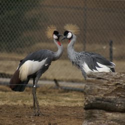 Rolling Hills Zoo