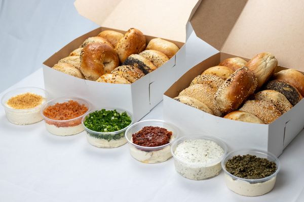 Schlok's Bagels & Lox by null
